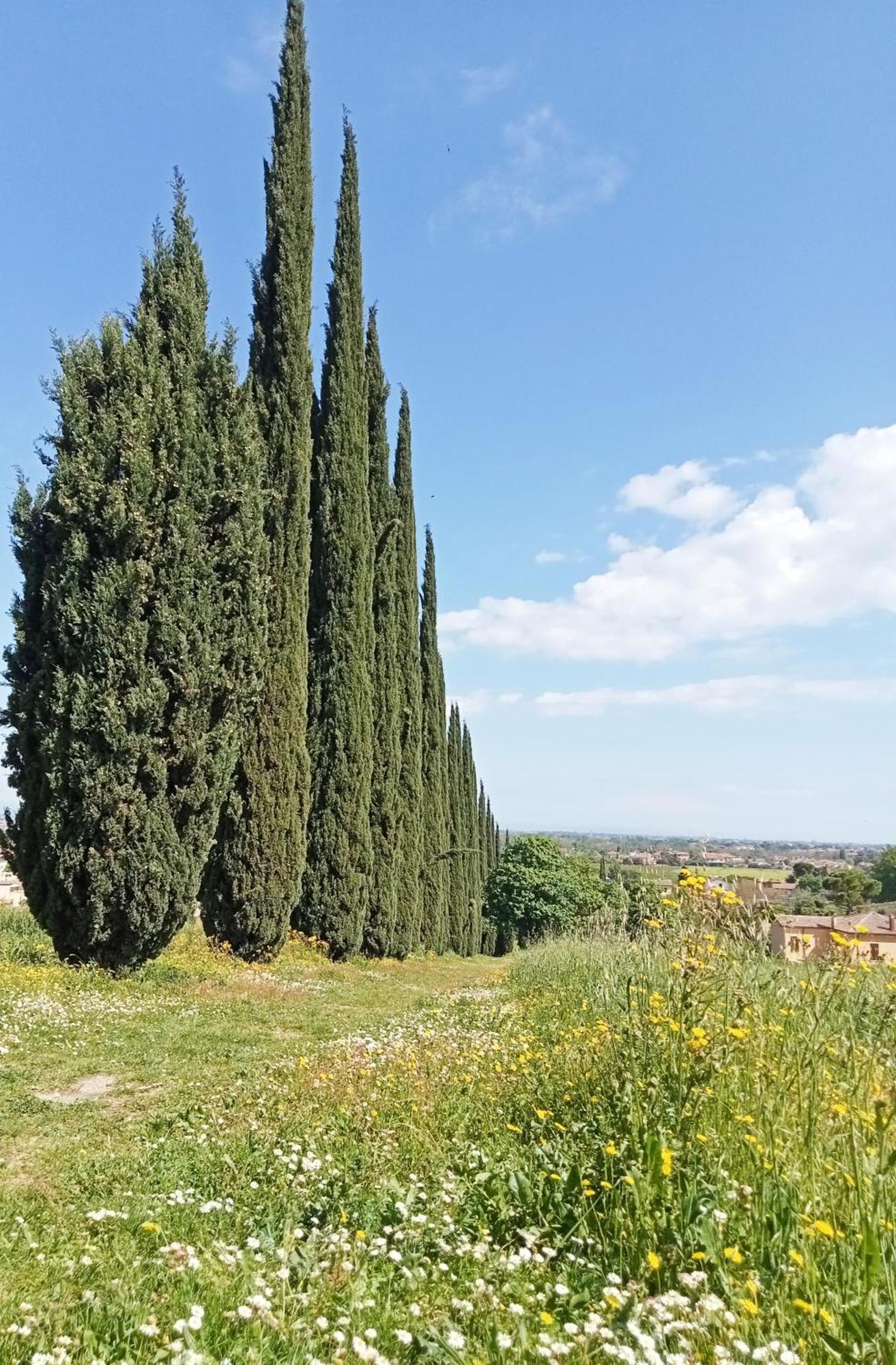 Casalice Apartman SantʼArcangelo di Romagna Kültér fotó